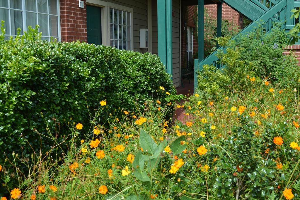 Habitat Suites Austin Exterior photo